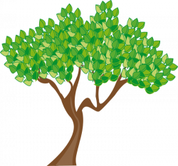 Free Tree Clipart - Animations of Trees