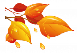 Transparent Autumn Leaves PNG Clipart | Gallery Yopriceville - High ...