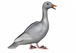 Goose PNG Photos - peoplepng.com