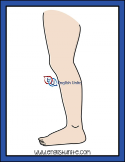 Noun - Leg | Clip Art | Clip art, Clipart black, white ...