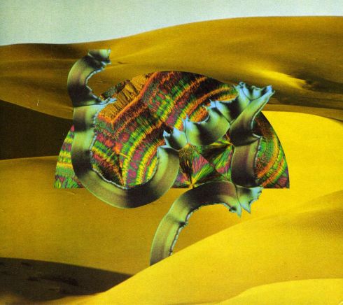 djangos lp