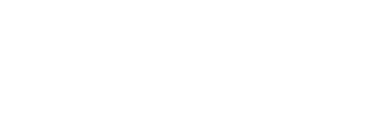 emerce business logo