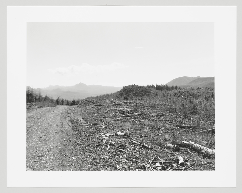 A black and white photograph depicting a rugged landscape with a dirt road leading through a cleared area with scattered tree debris, with a backdrop of distant mountains under a bright sky.