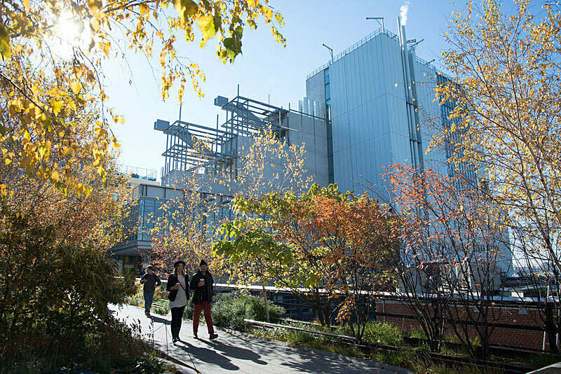 A view of the Whitney building from the Highline