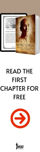 wing chun free chapter