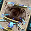 Target Painter Trap.png