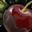 Chocolate Cherry.png