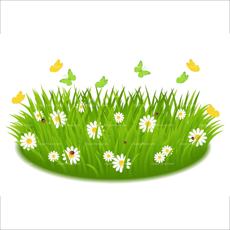 Grass clipart 8