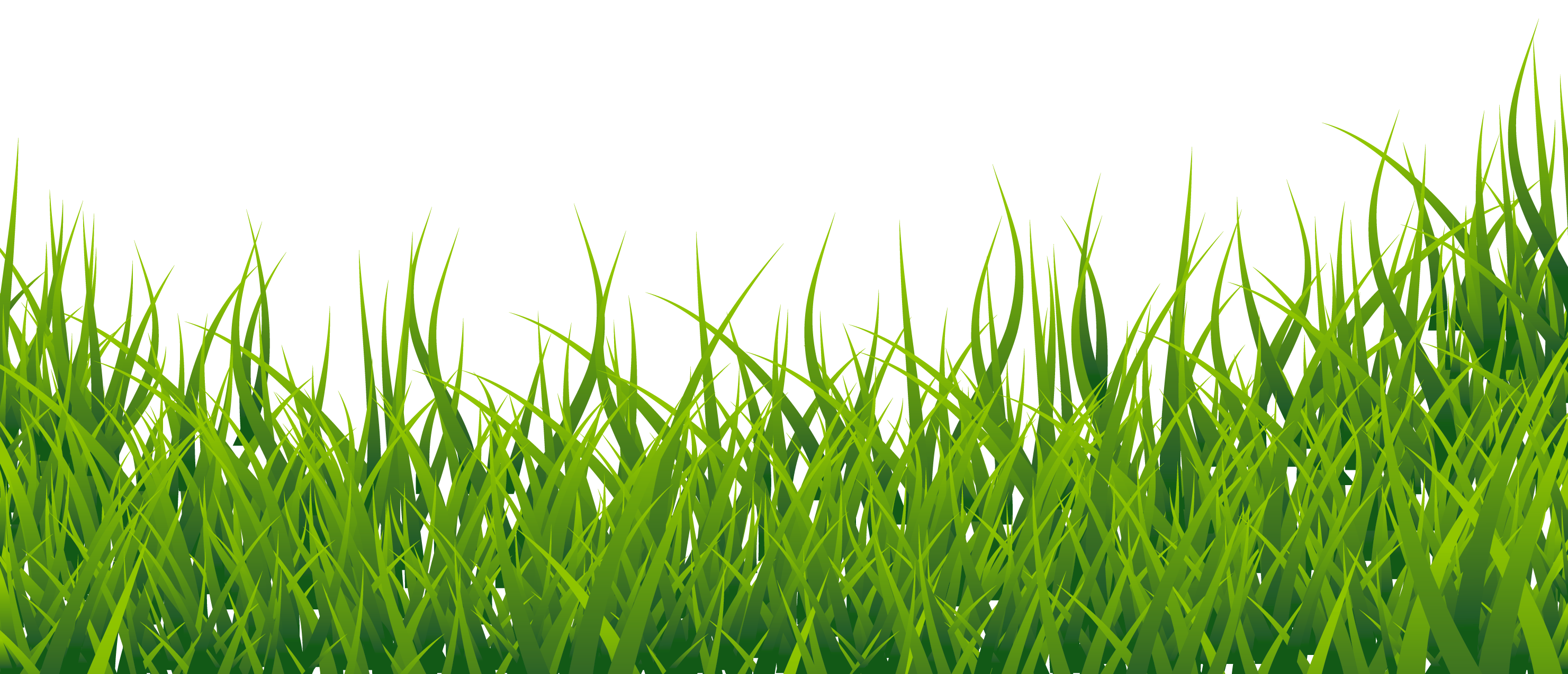 Grass clipart 2