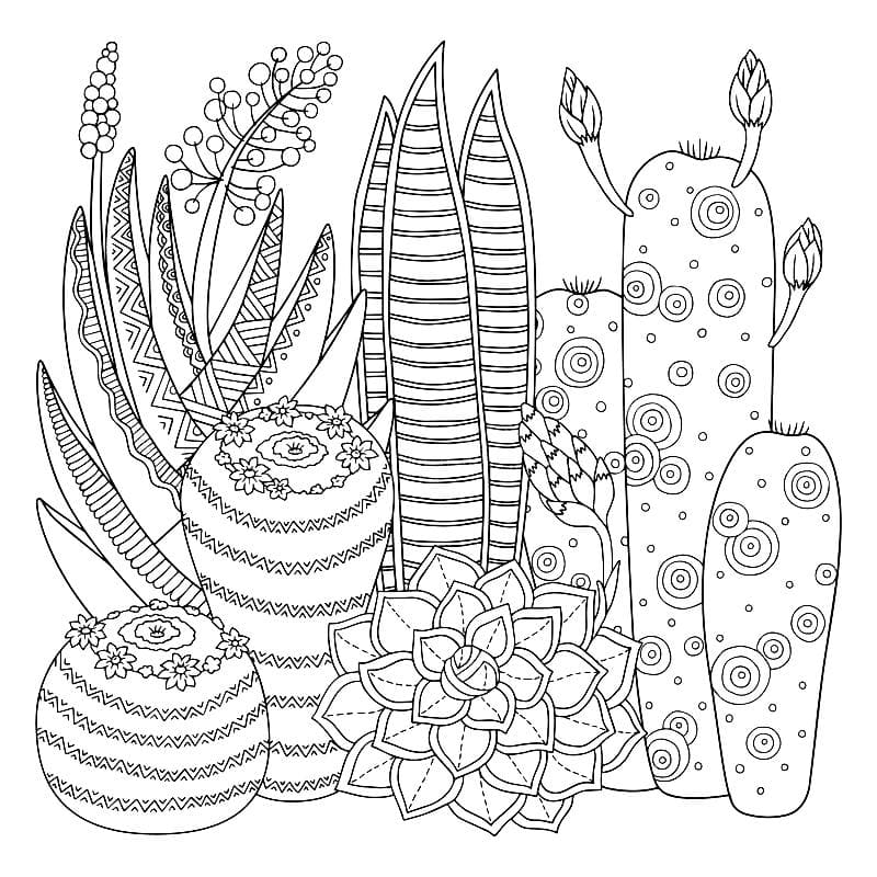 Boho Coloring Pages Printable