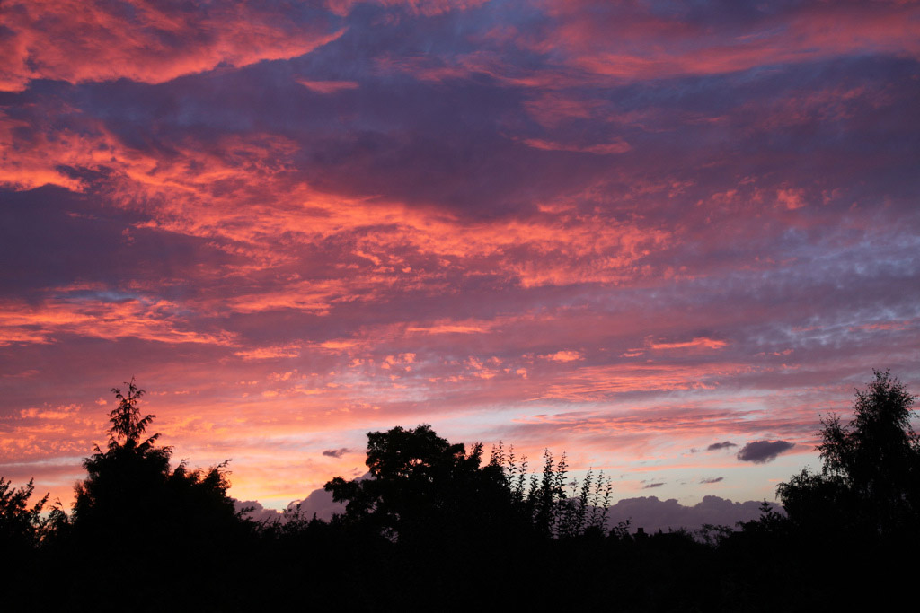 pink sky10 Why Does the Sky Looks Pink