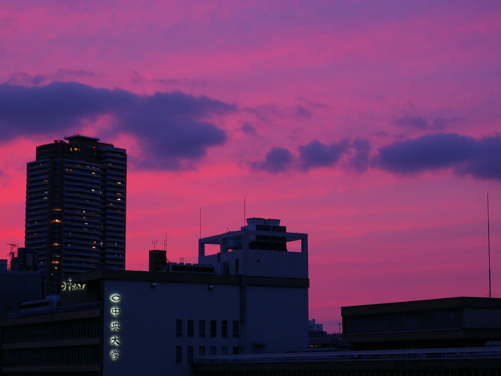 pink sky13 Why Does the Sky Looks Pink