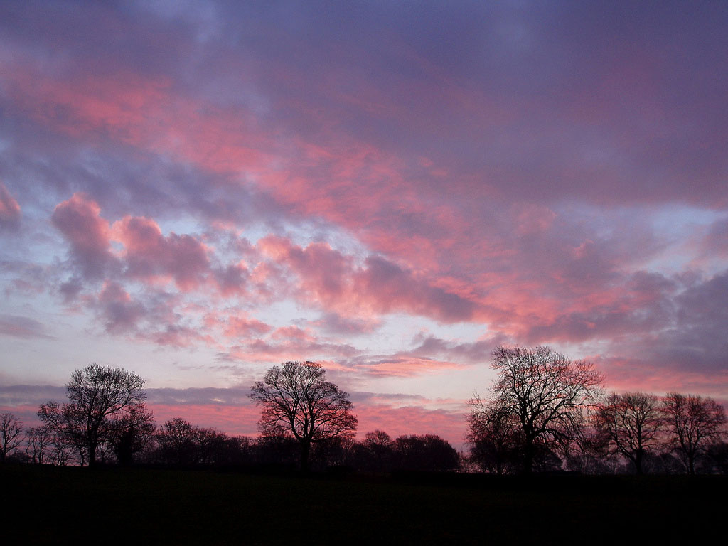 pink sky8 Why Does the Sky Looks Pink