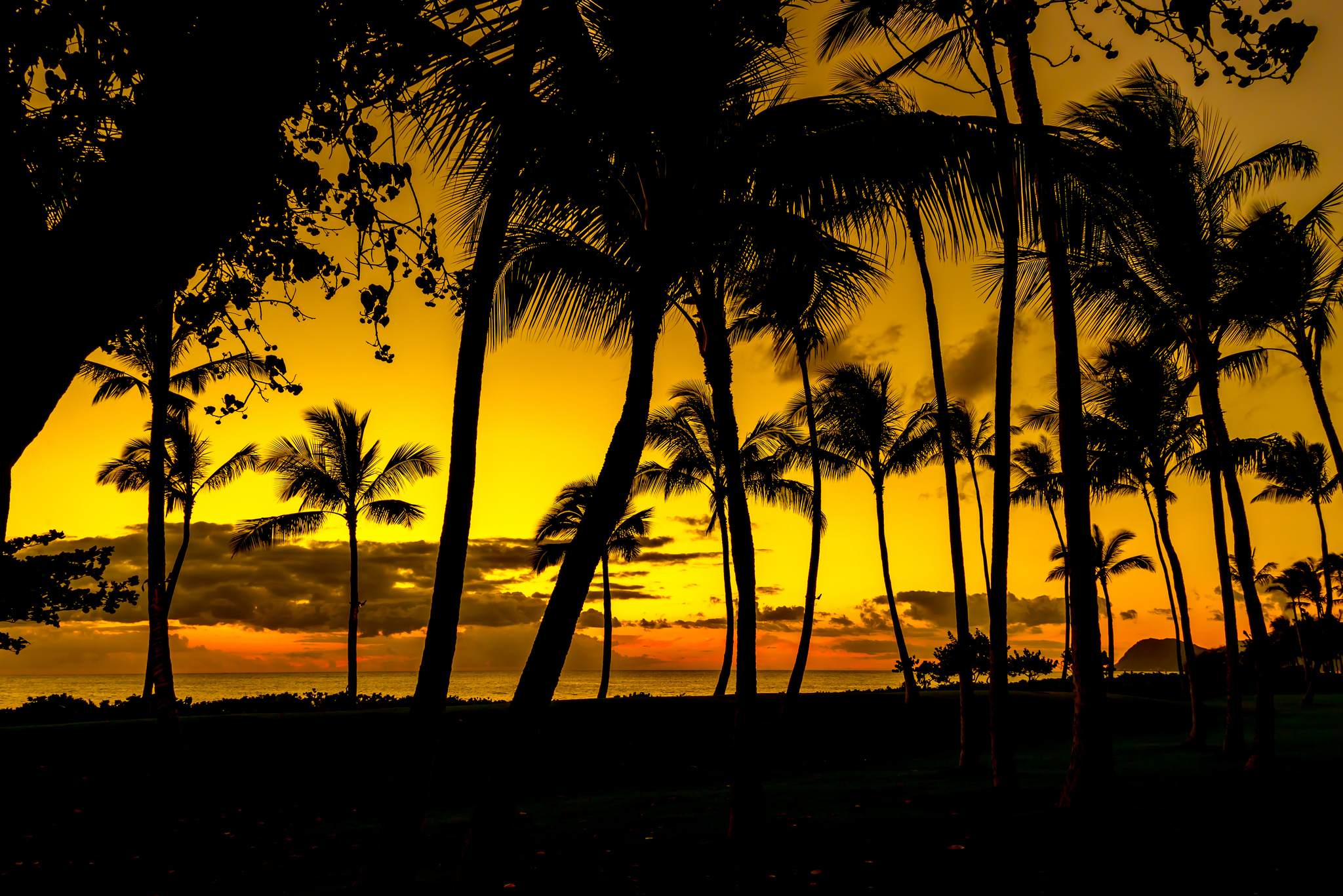 oahu wallpapers9 Aloha Oahu