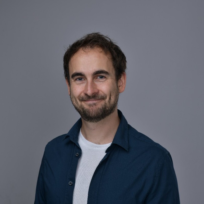picture of vincent will