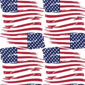 Printed HTV Tattered US Flag Print 12" x 15" Sheet