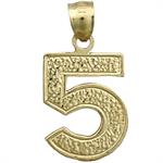 14k gold number 5 charm