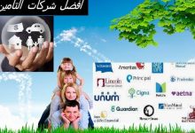 ما هي أفضل شركات التأمين على الحياة insurance life