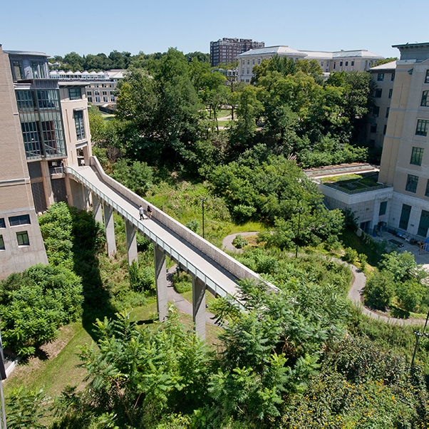 Randy Pausch Bridge on a Sunny Summer Day