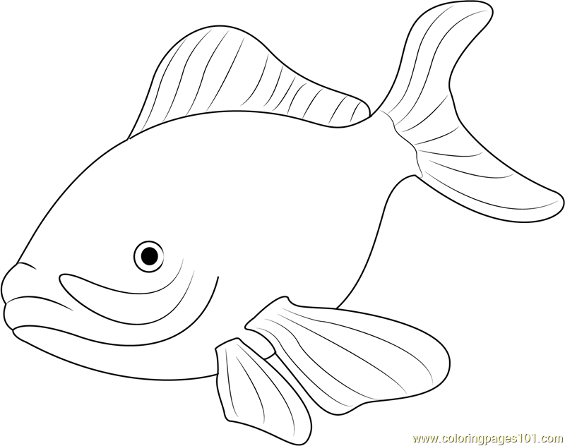 free coloring pages of ocean fish