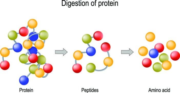 Tetrapeptide-30; bioactive peptides