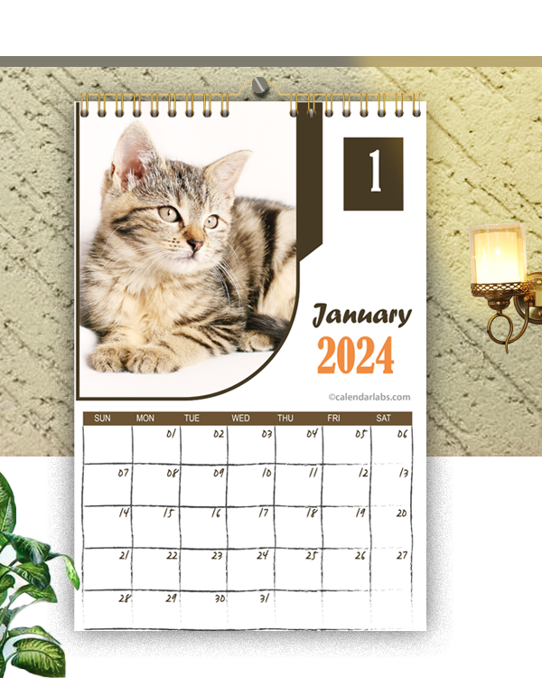 2024 Cat Wall Calendar - Free Printable Templates