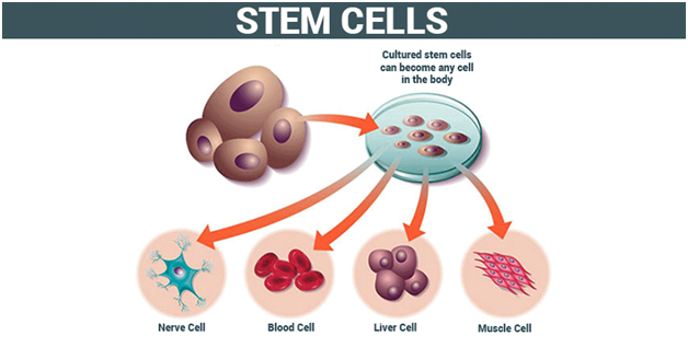 blood cancer causes