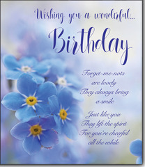 Wishing you a Wonderful Birthday greeting card