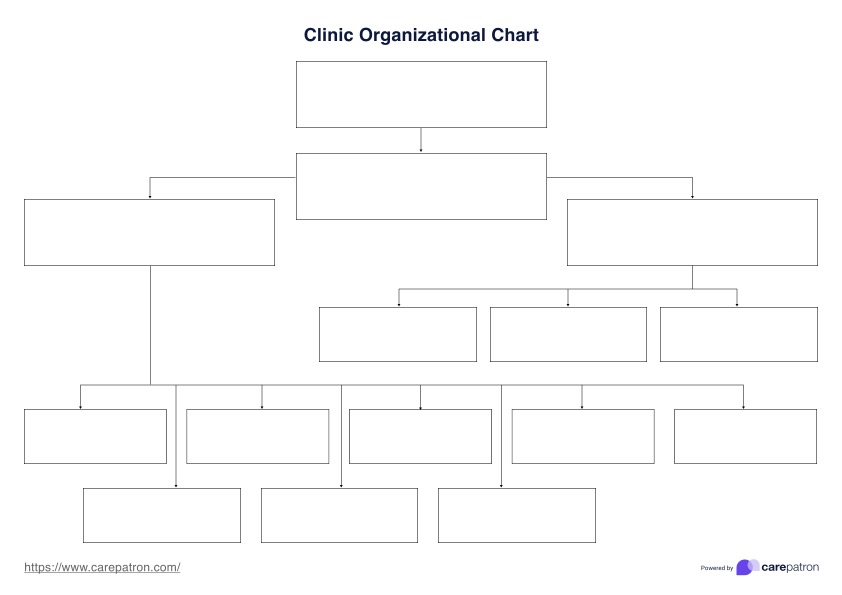 Clinic Organizational Chart Template PDF Example