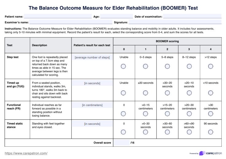 BOOMER Test PDF Example