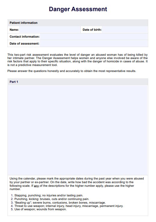 Danger Assessment PDF Example