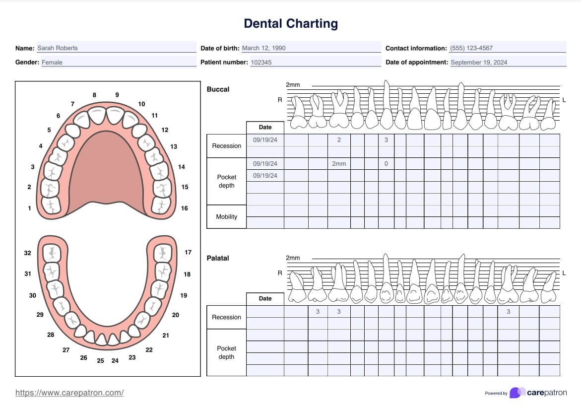 Dental Charting Template PDF Example