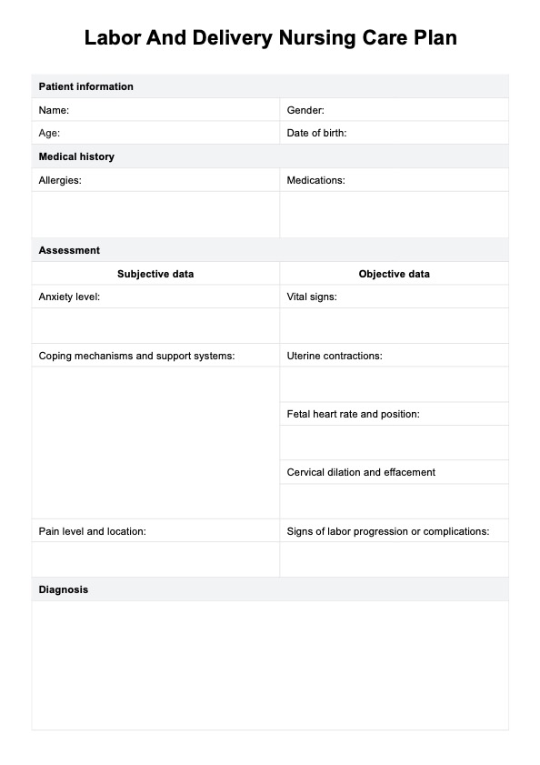 लेबर एंड डिलीवरी नर्सिंग केयर प्लान PDF Example