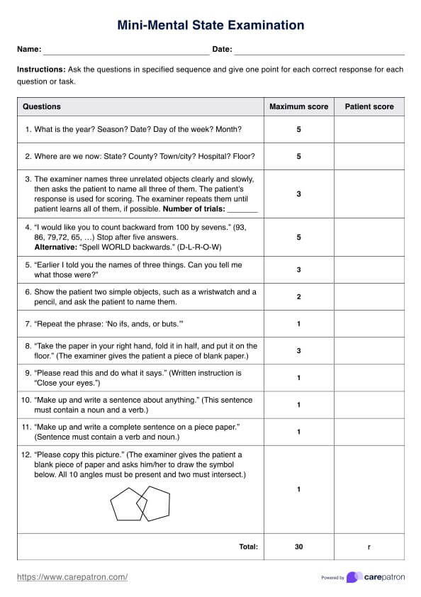 Mini Mental State Examinations PDF Example