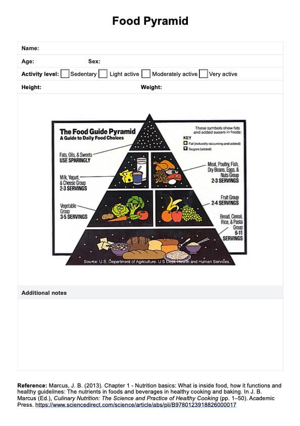 प्रिंट करने योग्य खाद्य पिरामिड PDF Example