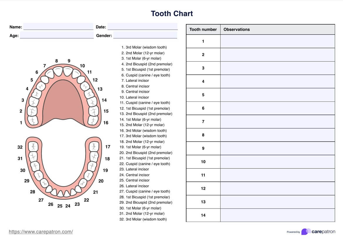 Tanndiagrammer PDF Example