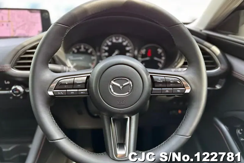 2024 Mazda / Mazda3 Stock No. 122781