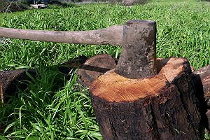 Axe in Wood