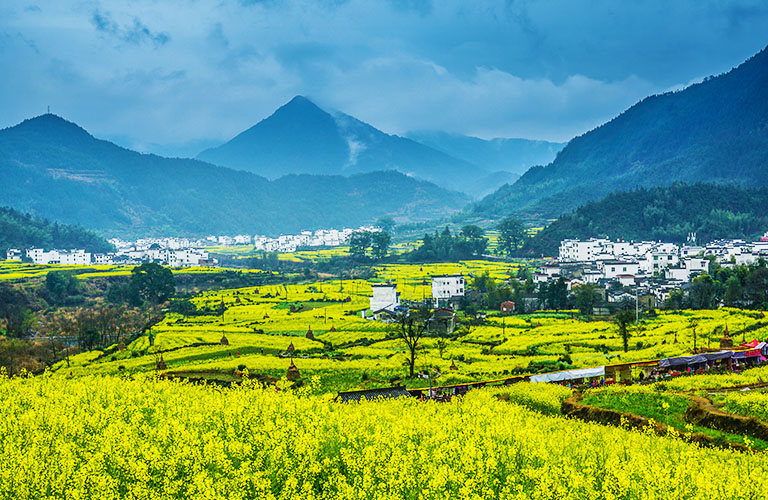 China Flower