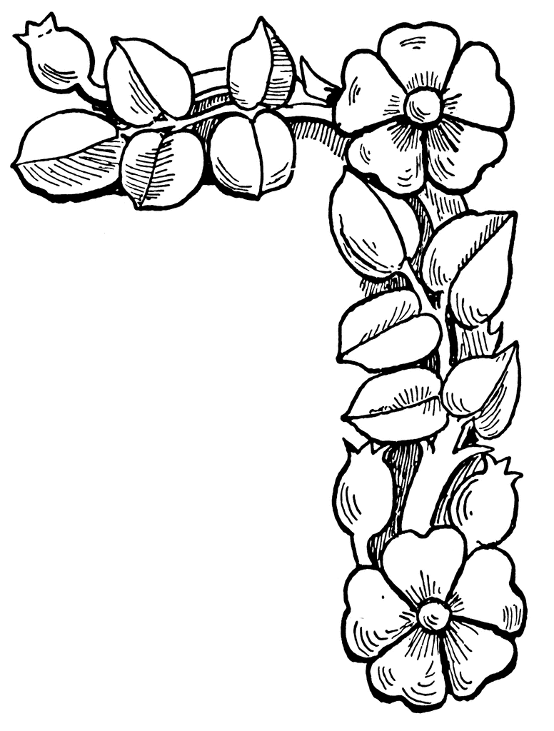 Easy Simple Flower Design Border Drawing : Borders Getdrawings Pngkit ...