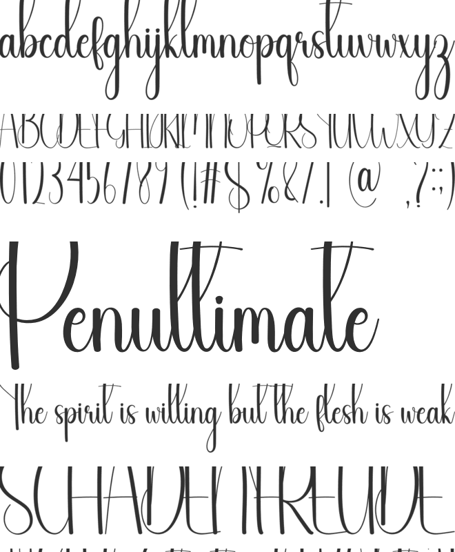 Shine font preview