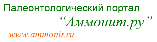 Палеонтология, Paleontology, Ammonit.ru