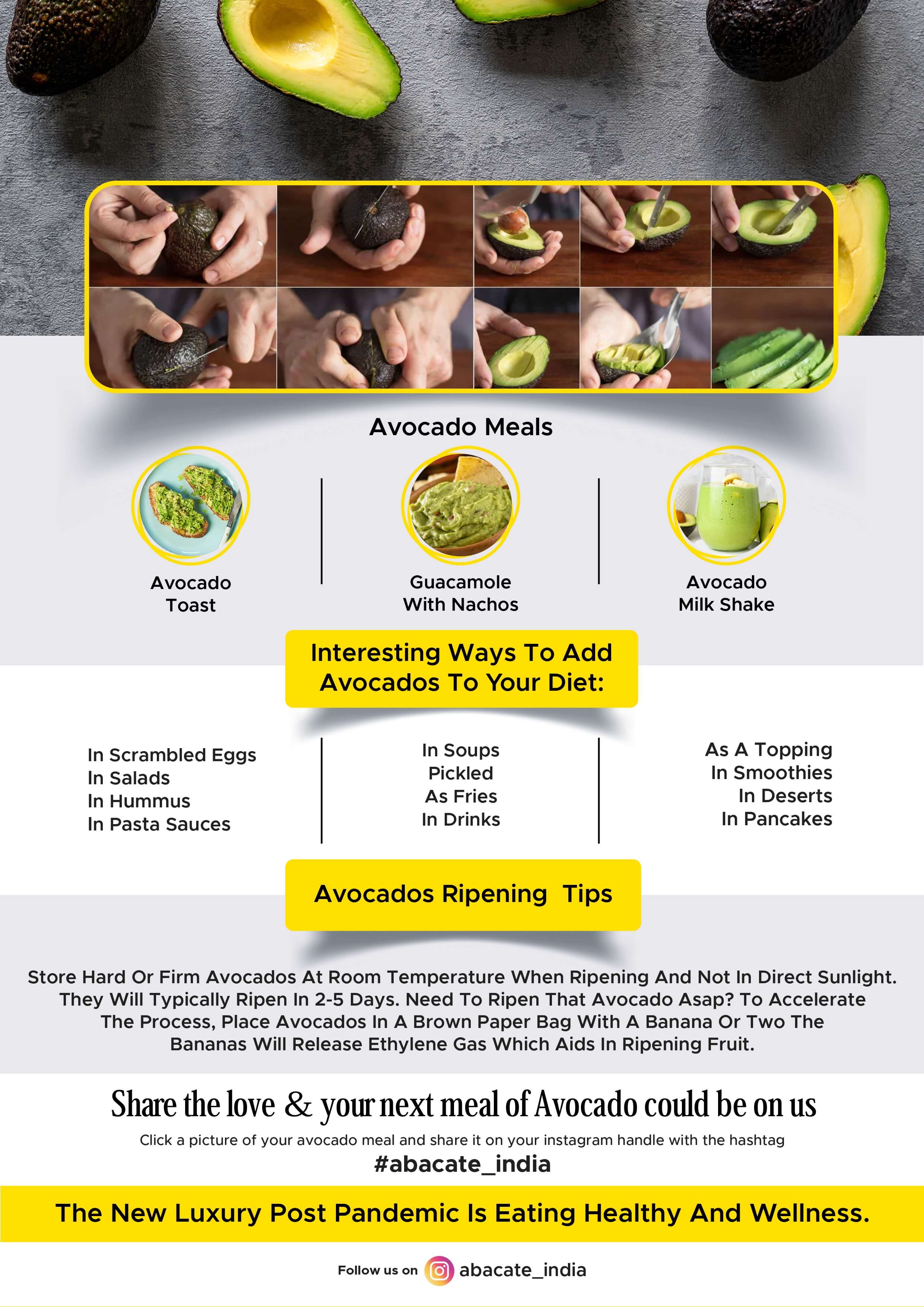 Avocado fruit importer in India