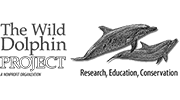 Wild Dolphin Project