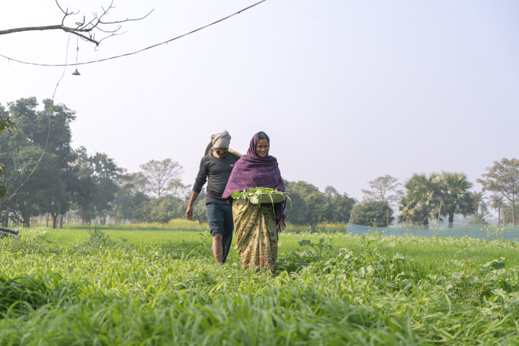 A man and a woman walking in a field.