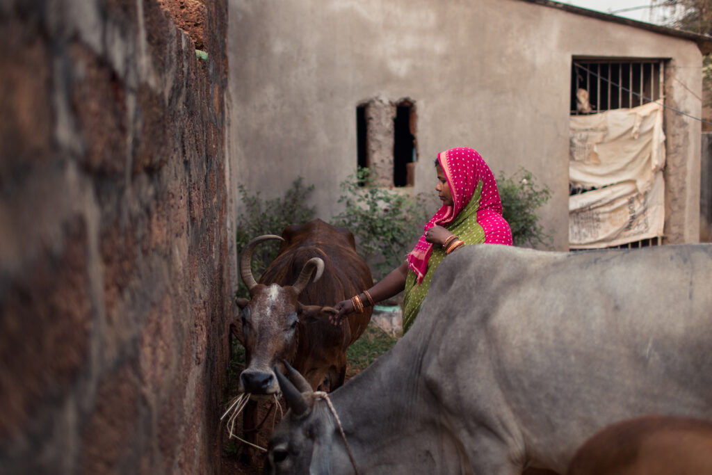 Renuka Behera, a dairy farmer and customer of Annapurna Finance