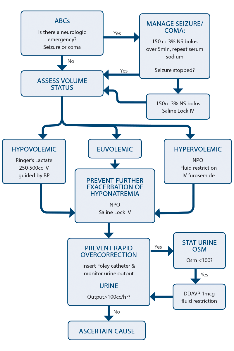 How To Prevent Hyponatremia - Birthdaypost10