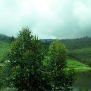 Nilgiri Hills Valley