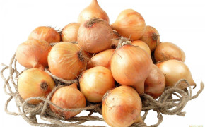 Onion Wallpaper 1920x1200 65825