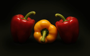 Pepper Wallpaper 1332x850 65846